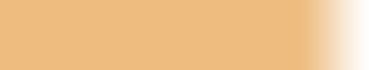 orange_bg.png